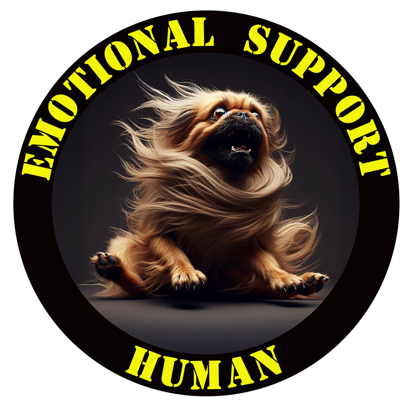 Pekingese