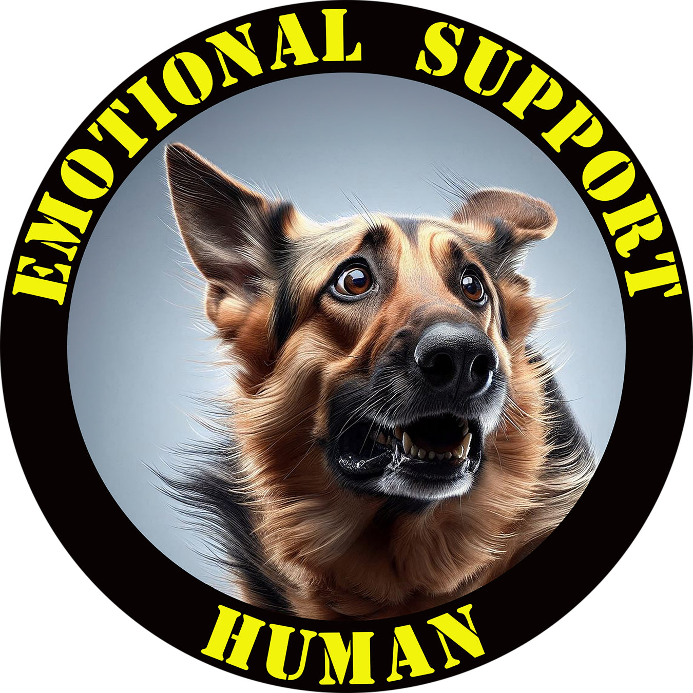 German Shepherd