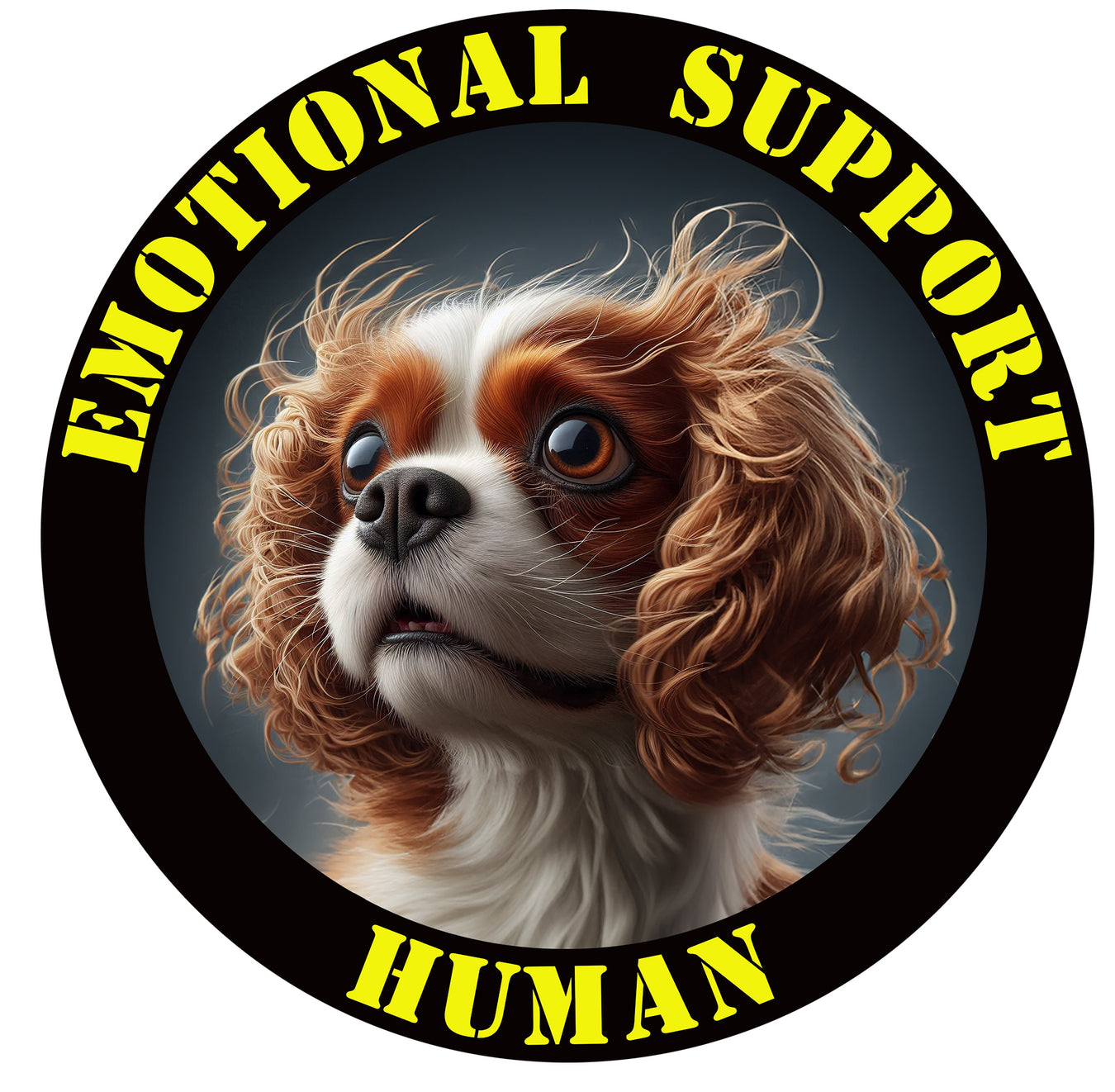 Spaniel
