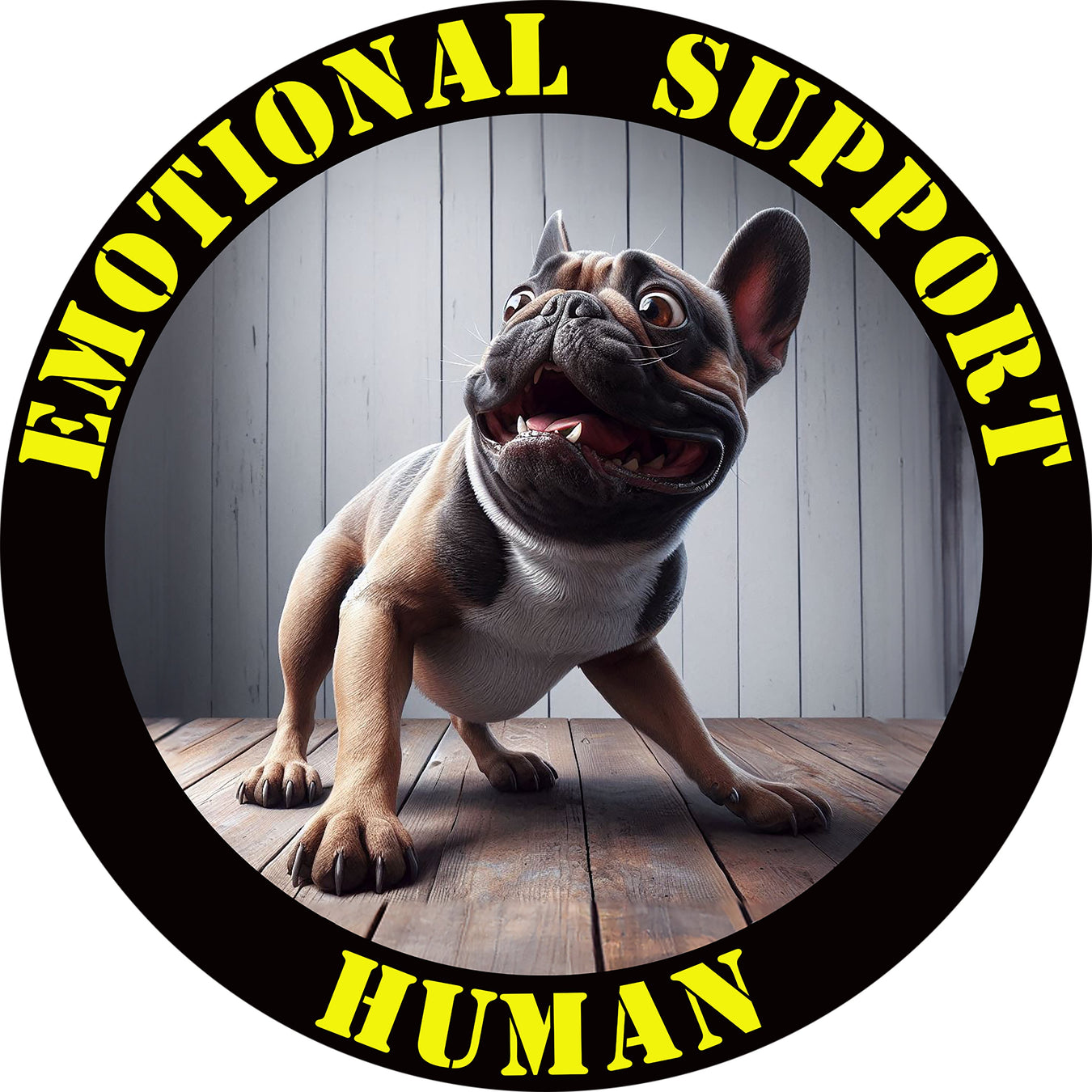 French Bulldog