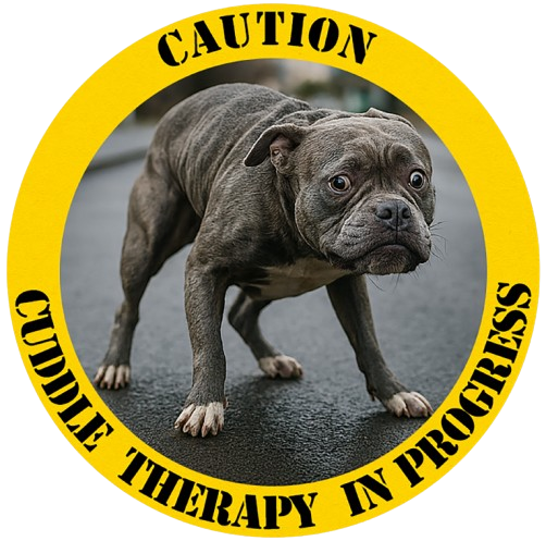 Pit Bull
