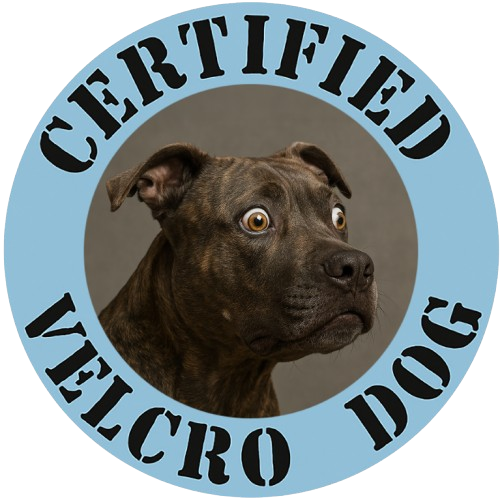 Pit Bull