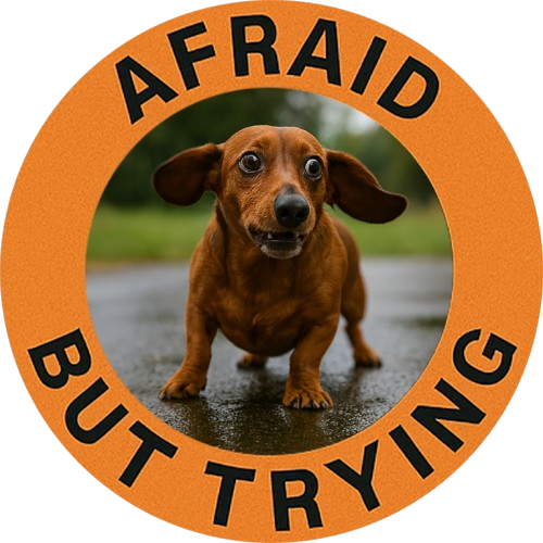 Dachshund