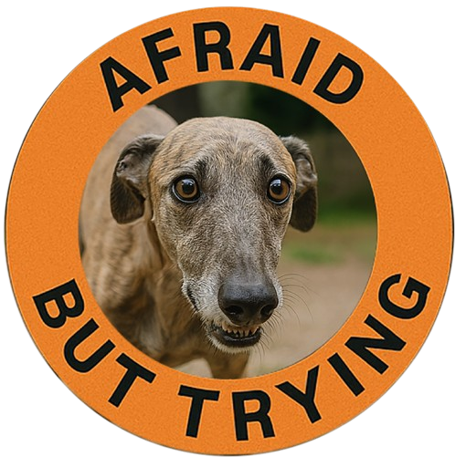 Greyhound