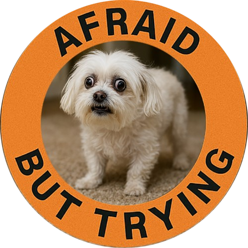 Maltese