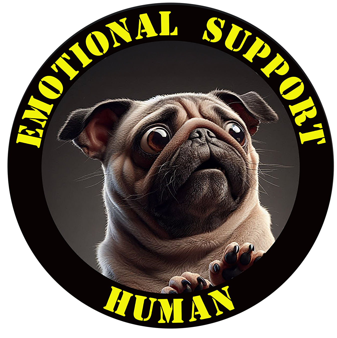 Pug