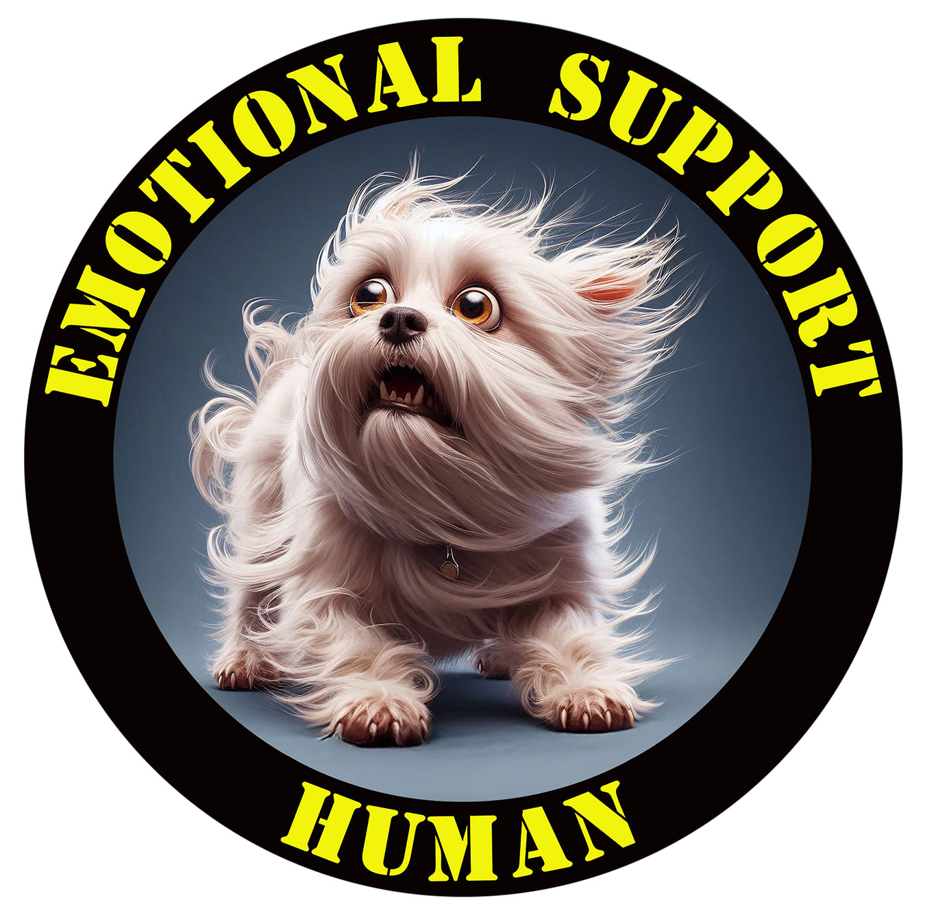 Maltese