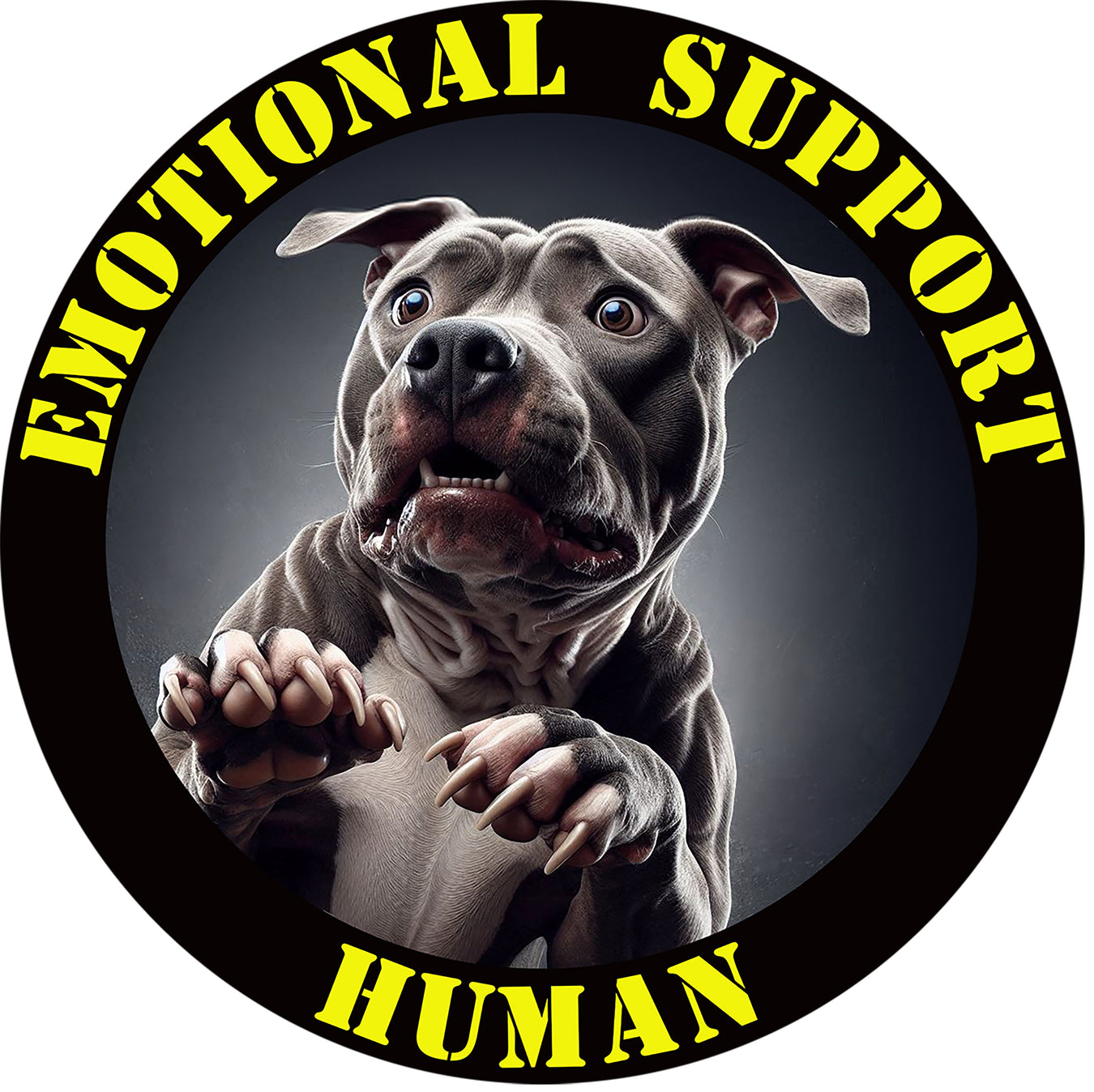Pit Bull