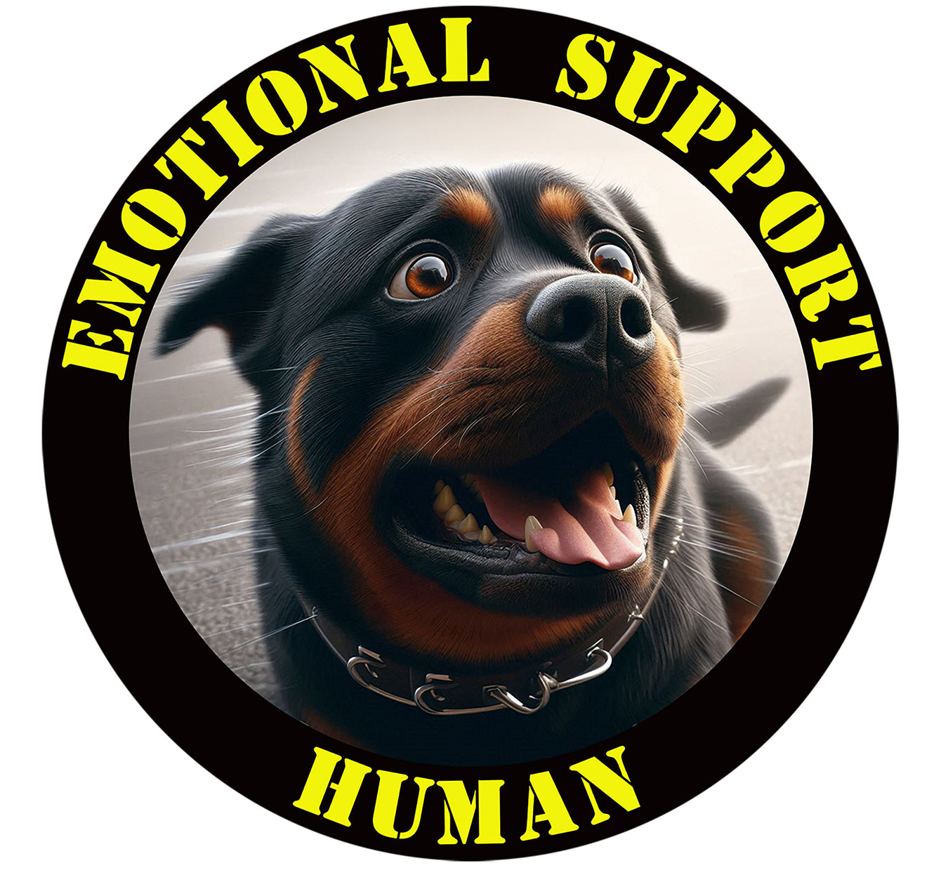 Rottweiler