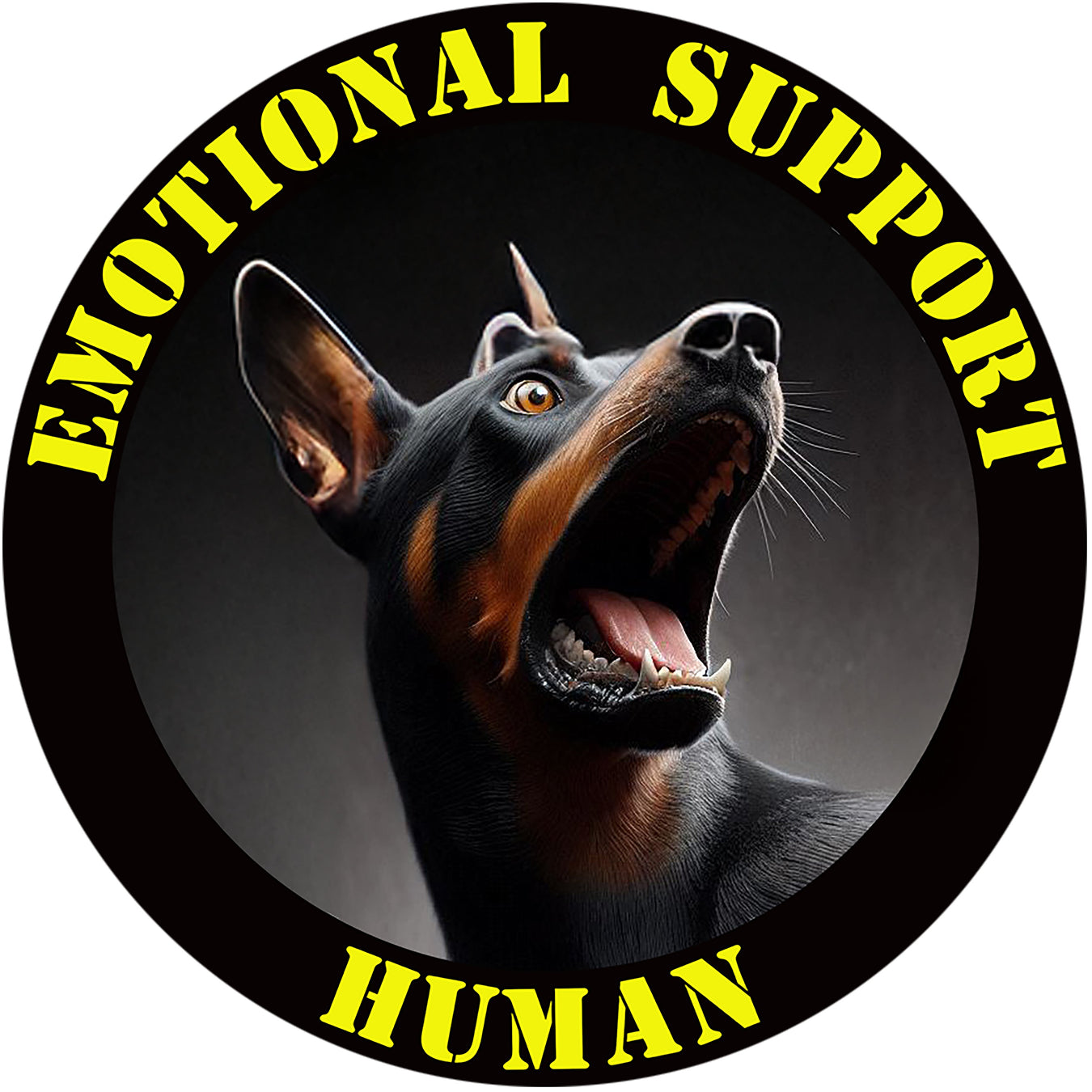 Doberman