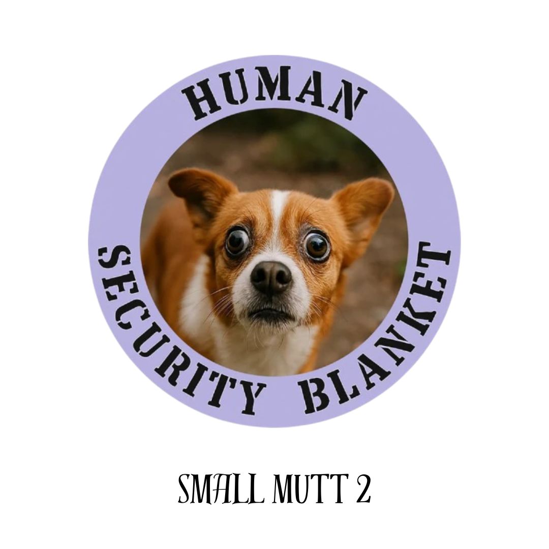 Small Mutt 2