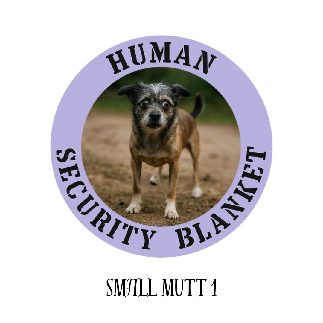 Small Mutt 1