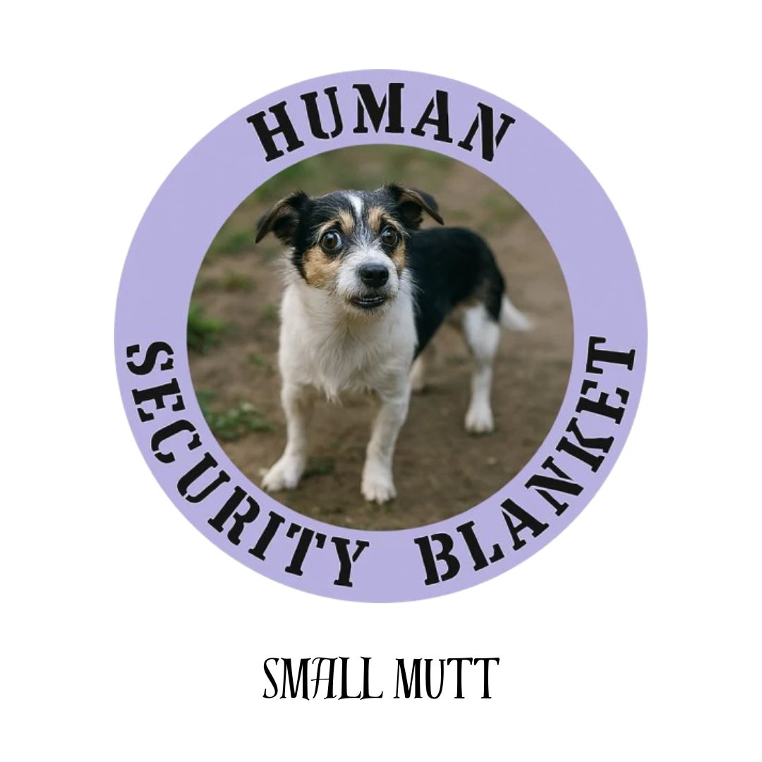 Small Mutt