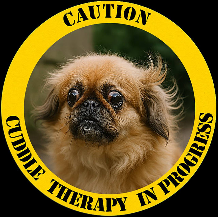 Caution: Canine Therapy in Progress T‑Shirt
