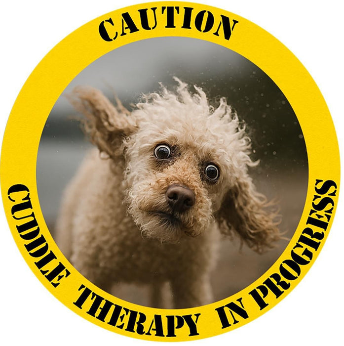 T‑Shirt — "Caution: Cuddle Therapy in Progress" Dog Photo Tee