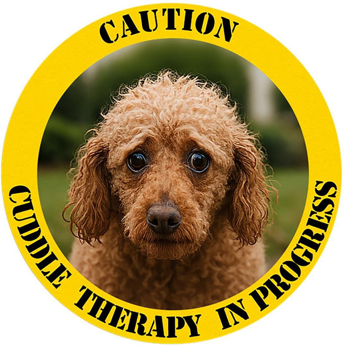 T‑Shirt — "Caution: Cuddle Therapy in Progress" Dog Rescue Tee