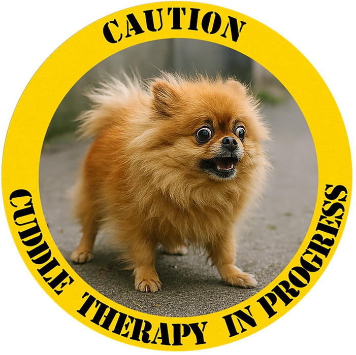 Pomeranian Caution Tee - "Cuddle Therapy in Progress" Dog Lover Shirt