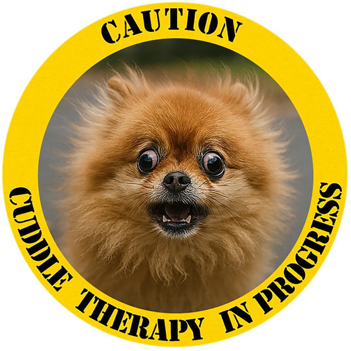 T-Shirt — "Caution: Cuddle Therapy in Progress" Pomeranian Dog Tee
