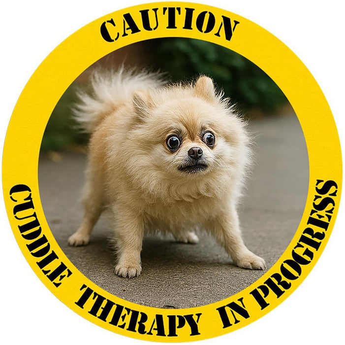 T-Shirt — "Caution: Cuddle Therapy in Progress" Pomeranian Dog Tee
