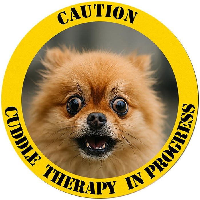 T-Shirt — "Caution: Cuddle Therapy in Progress" Pomeranian Dog Tee