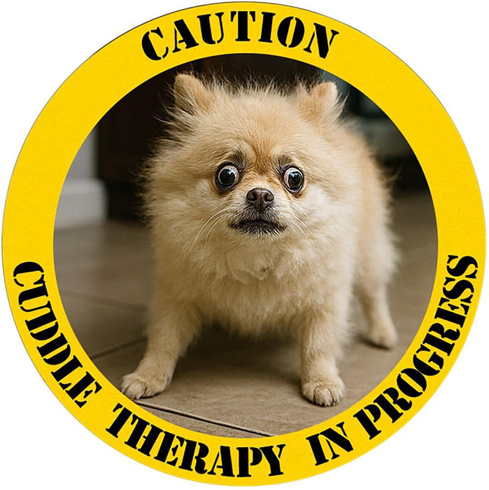 T-Shirt — "Caution: Cuddle Therapy in Progress" Cute Pomeranian Graphic Tee