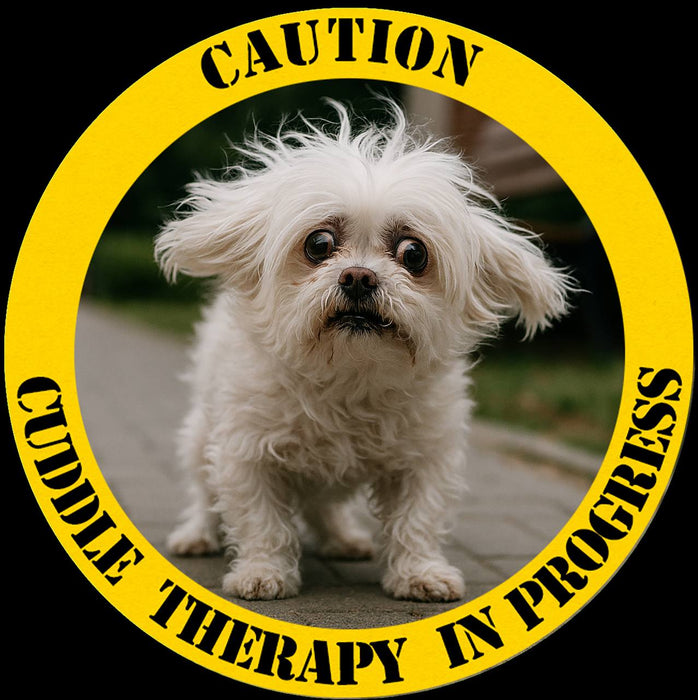 Caution: Canine Therapy In Progress Tee