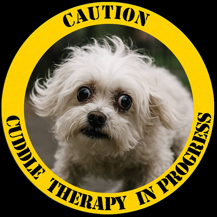 Caution: Canine Therapy In Progress T-Shirt