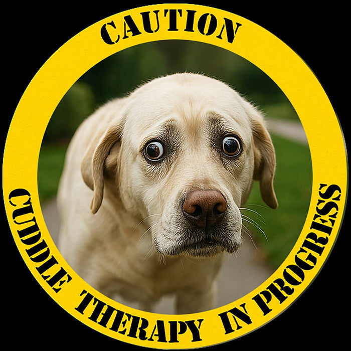 Caution: Cuddle Therapy in Progress Dog T‑Shirt