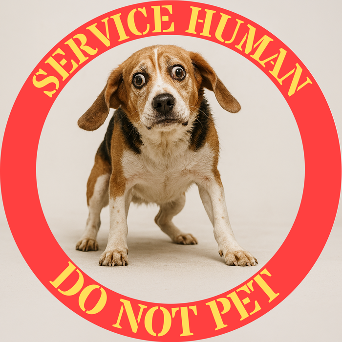 Service Human “Do Not Pet” T-Shirt — Funny Service Dog Awareness Tee