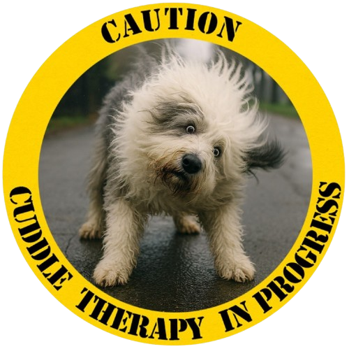 Caution: Cuddle Therapy In Progress T‑Shirt