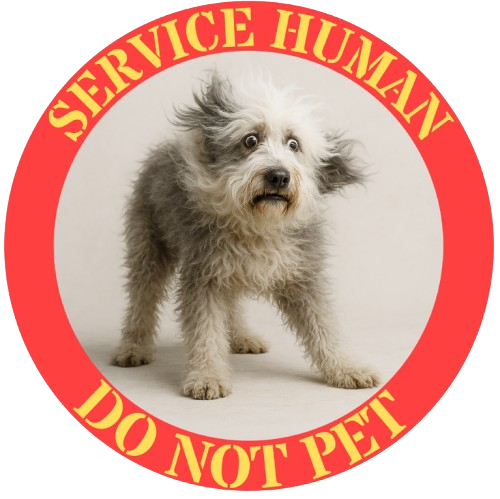 Service Hooman Do Not Pet T-Shirt — Cute Service Dog Graphic Tee