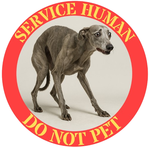 Service Human “Do Not Pet” T‑Shirt — Funny Service Dog Parody Tee