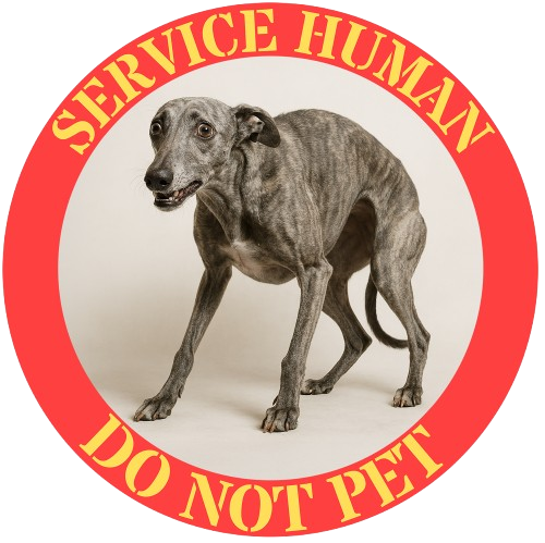 Service Human Do Not Pet T-Shirt — Funny Service Dog Parody Tee