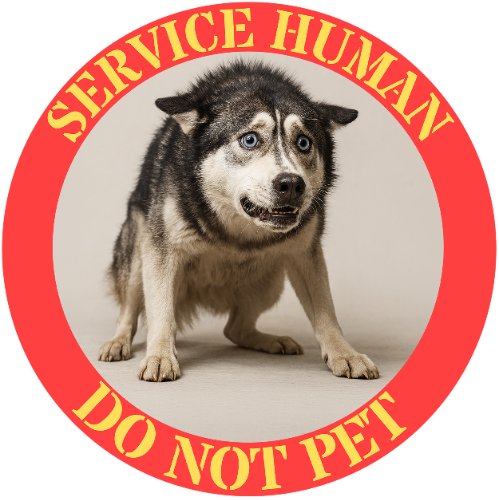 T-Shirt — 'Service Human Do Not Pet' Service Dog Humor Tee