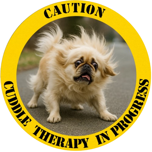 T-Shirt — "Caution: Cuddle Therapy in Progress" Funny Fluffy Dog Tee