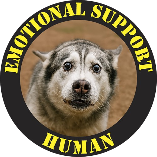 Emotional Support Human T‑Shirt — Funny Dog Support Tee