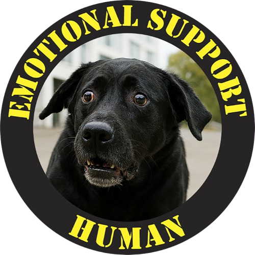 Emotional Support Human T‑Shirt — Funny Dog Support Animal Tee