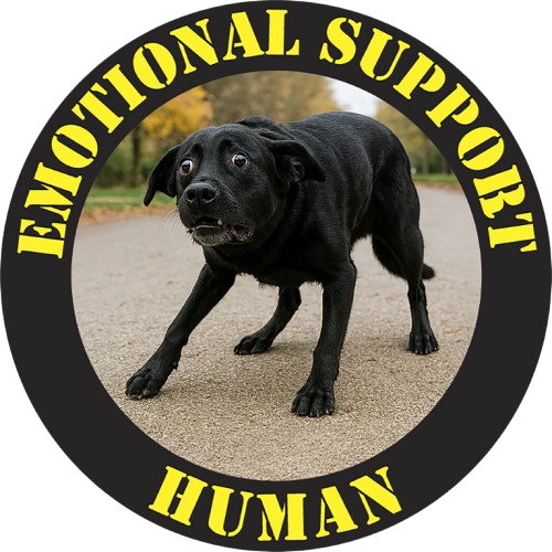 Emotional Support Human T‑Shirt — Funny Dog Rescue Pet Lover Tee