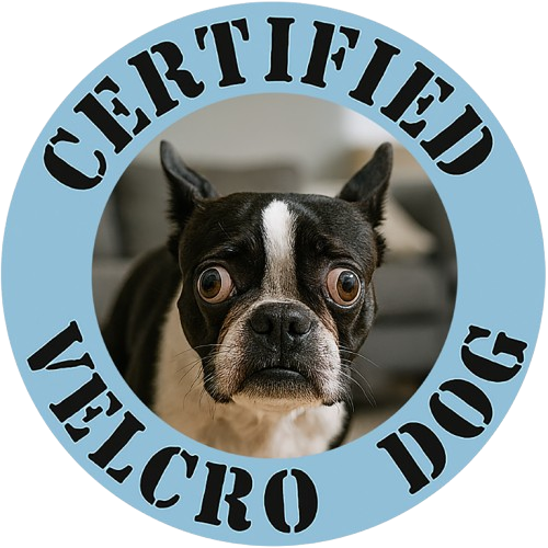 Certified Velcro Dog T‑Shirt — Funny Dog Mom/Dad Gift