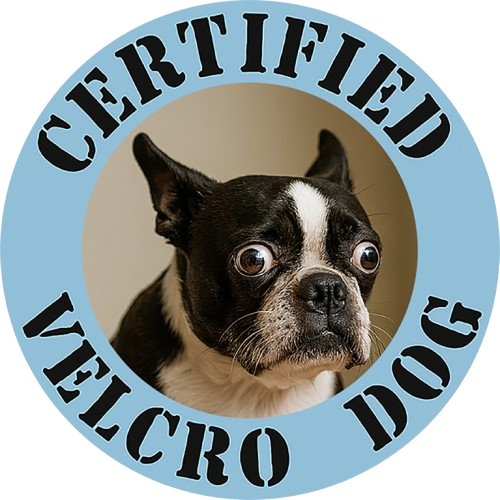 Certified Velcro Dog T‑Shirt — Funny Boston Terrier Pet Tee