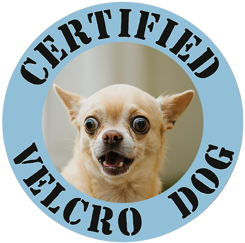 Certified Velcro Dog T-Shirt — Funny Chihuahua Pet Lover Tee