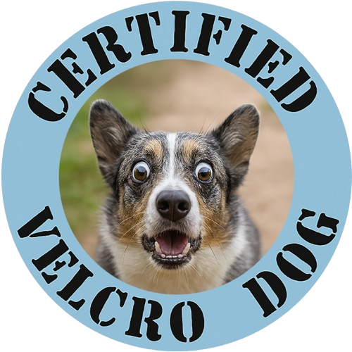 Certified Velcro Dog T‑Shirt — Funny Corgi Face Pet Lover Tee