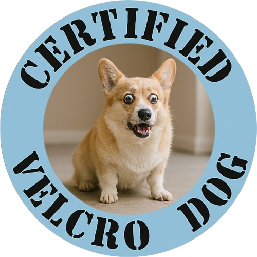 T-Shirt — "Certified Velcro Dog" Corgi Graphic Tee