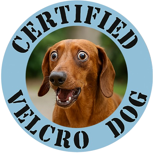 Certified Velcro Dog T-Shirt — Funny Dachshund Pet Tee