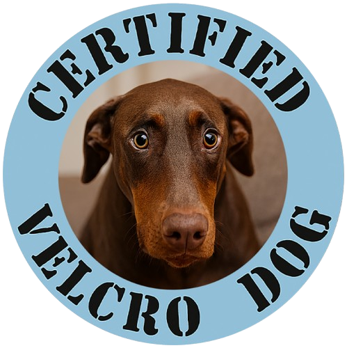 Certified Velcro Dog T-Shirt — Funny Dachshund Pet Owner Tee