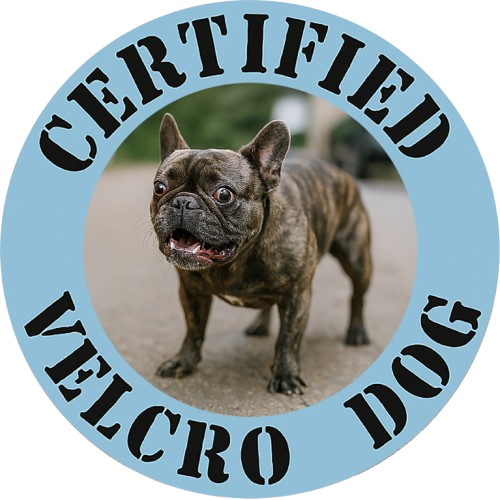 Certified Velcro Dog T-Shirt — Funny Pet Lover Tee