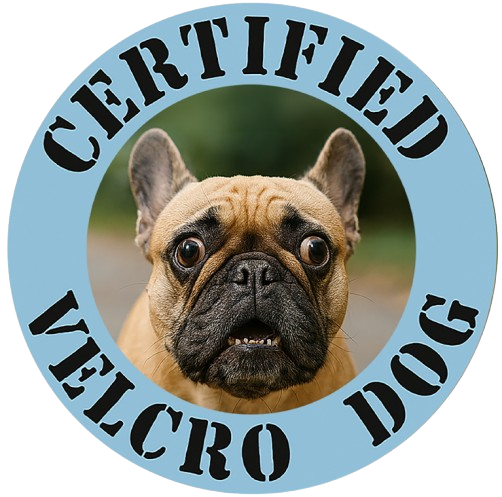 Certified Velcro Dog Tee — Funny French Bulldog Shirt
