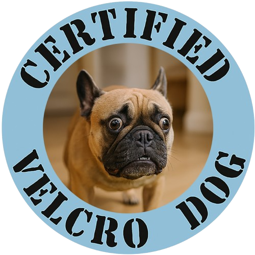 Certified Velcro Dog T-Shirt — Cute Pug Pet Humor Tee