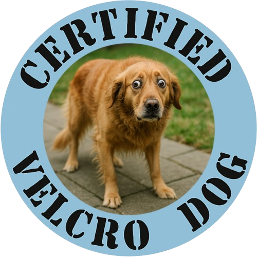 T-Shirt — "Certified Velcro Dog" Funny Golden Retriever Tee