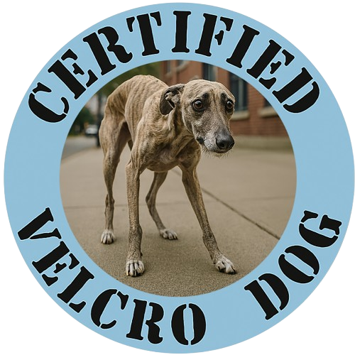 Certified Velcro Dog T-Shirt – Funny Greyhound/Whippet Pet Lover Tee